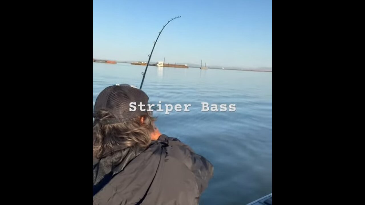 Striper Bass #fishingholiday #fishing #fishingvacation