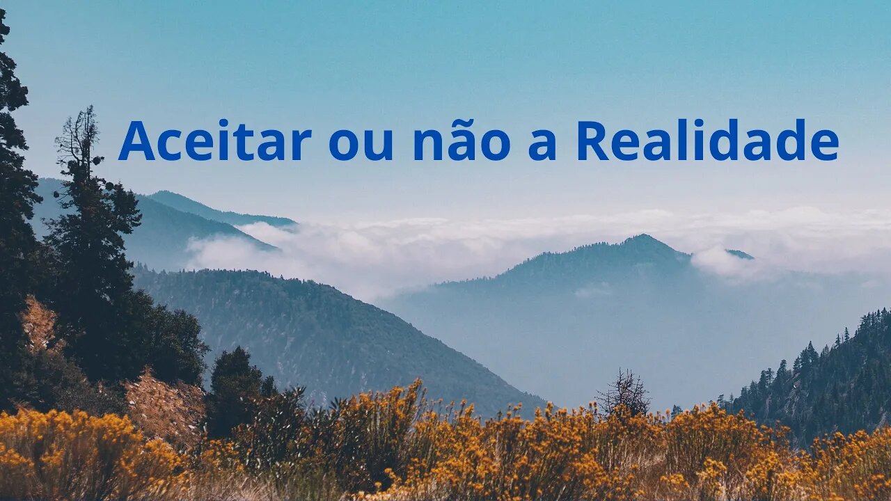 Aceitar ou não a Realidade