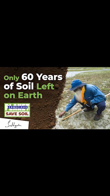 Only 60 Years of Soil Left on Earth | Sadhguru #shorts #sadhguru #savesoil
