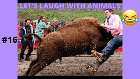 LET'S LAUGH WITH ANIMALS | #16