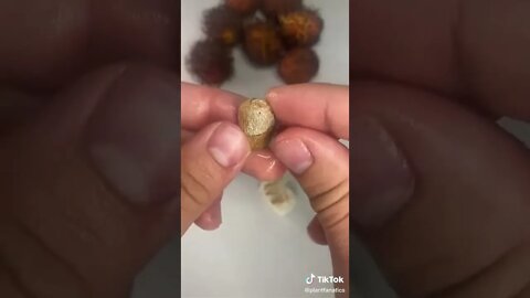 Have You Ever Seen This Crazy Fruit?!