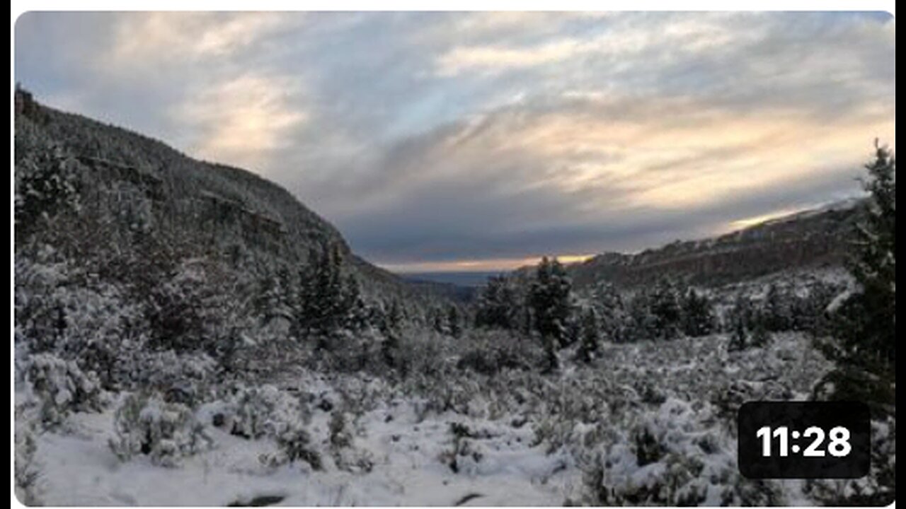 Wildlife Is MIA, Trees Sick And Dying, Toxic Skies - Another Day Comes To An End -- WYOMING