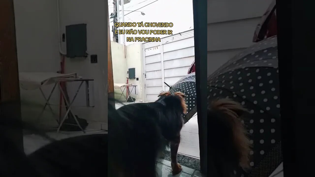 Mais um dia triste na vida do cara!