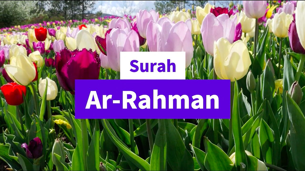 Beautiful Sarah Ar Rahman Recitation (Tilawat)