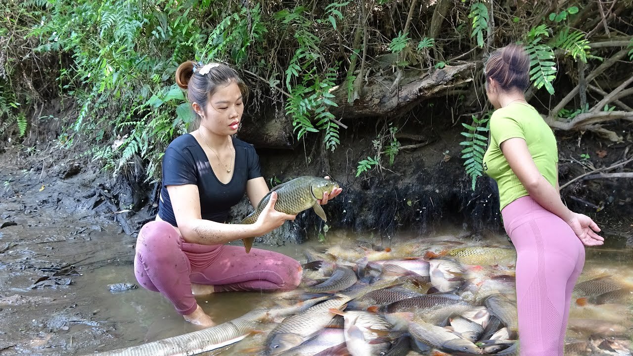 Unique Fishing - Harvest Fish From Wild Lakes - Go To Sell At Village Market