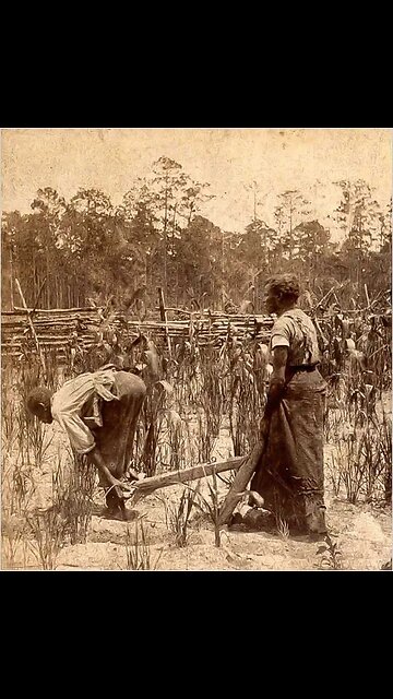 The Civil War was about slavery, not States rights Part 3