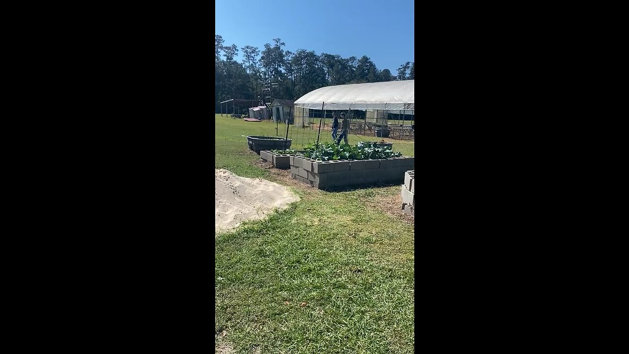 Daniel Dragging the hose