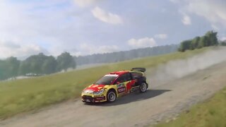 DiRT Rally 2 - Replay - Citroen C4 at Ruschberg