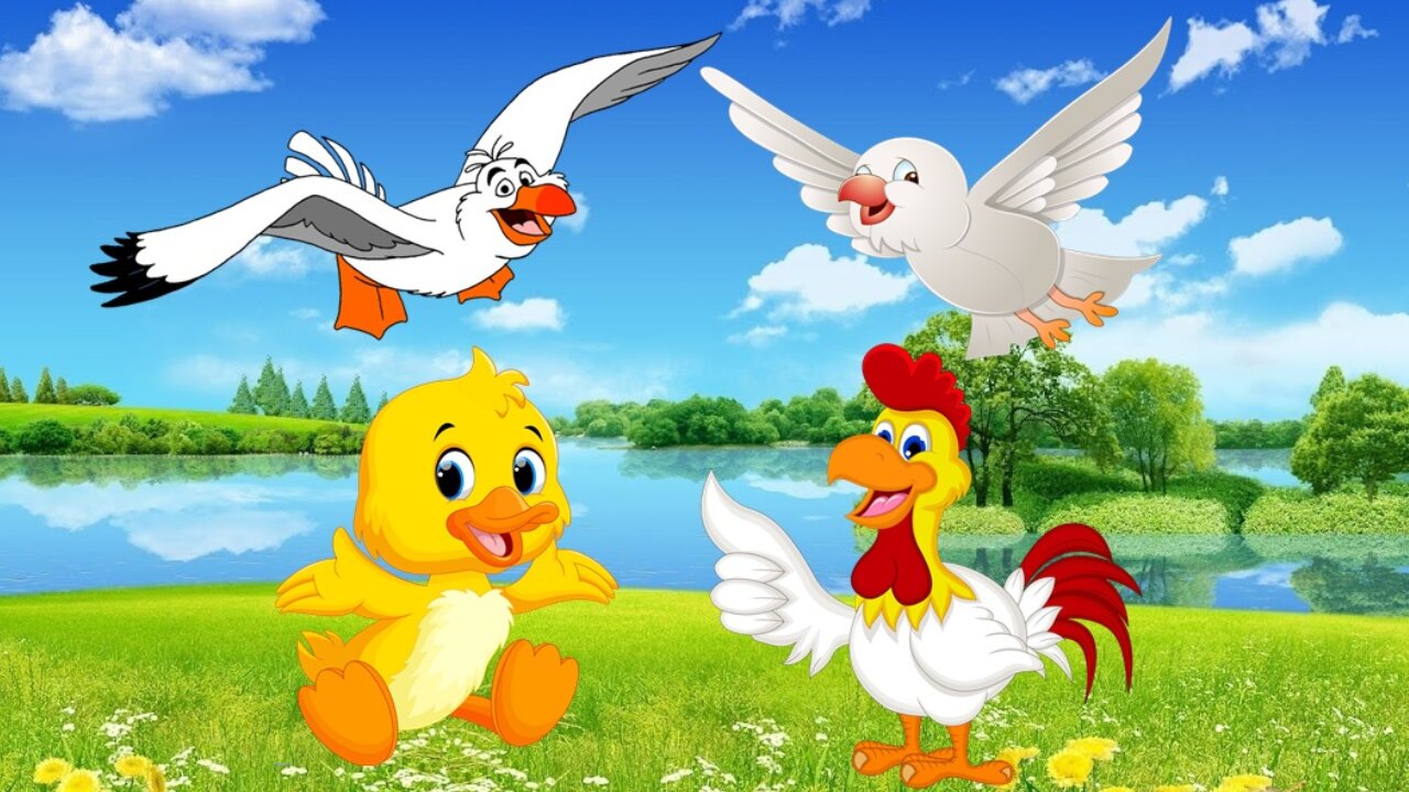 WINGED ANIMAL!!! Chicken, Duck, Bird, Seagulls Animal Sounds!