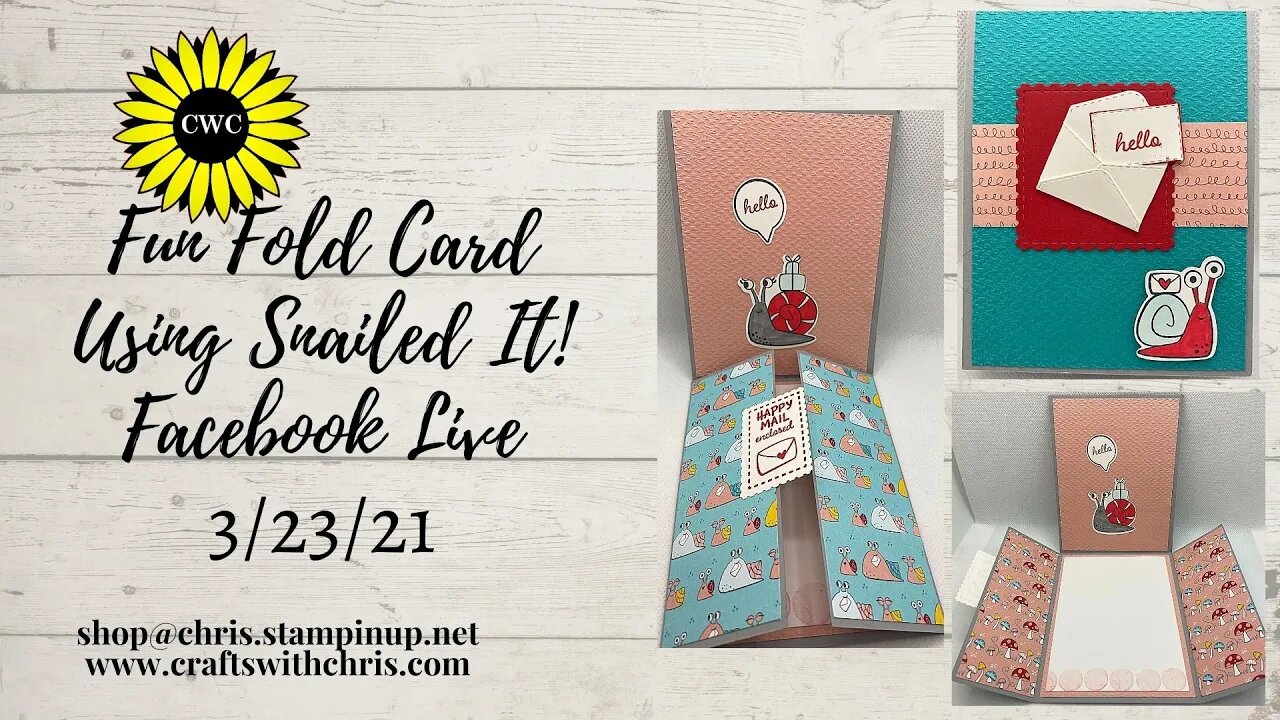 Fun Fold Card Using Snailed It from Stampin' Up!