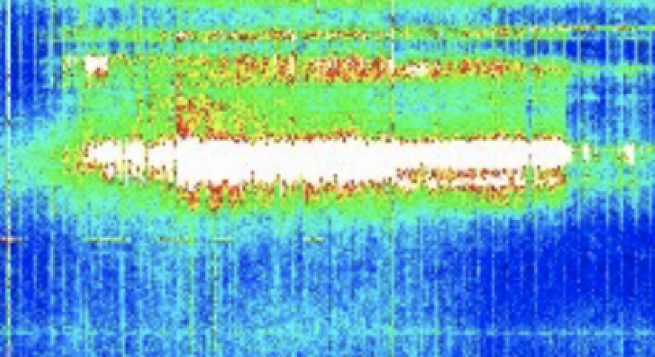 Schumann Resonance THE BUG QUEEN