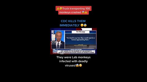 CDC kills monkeys that carried deadly virus!