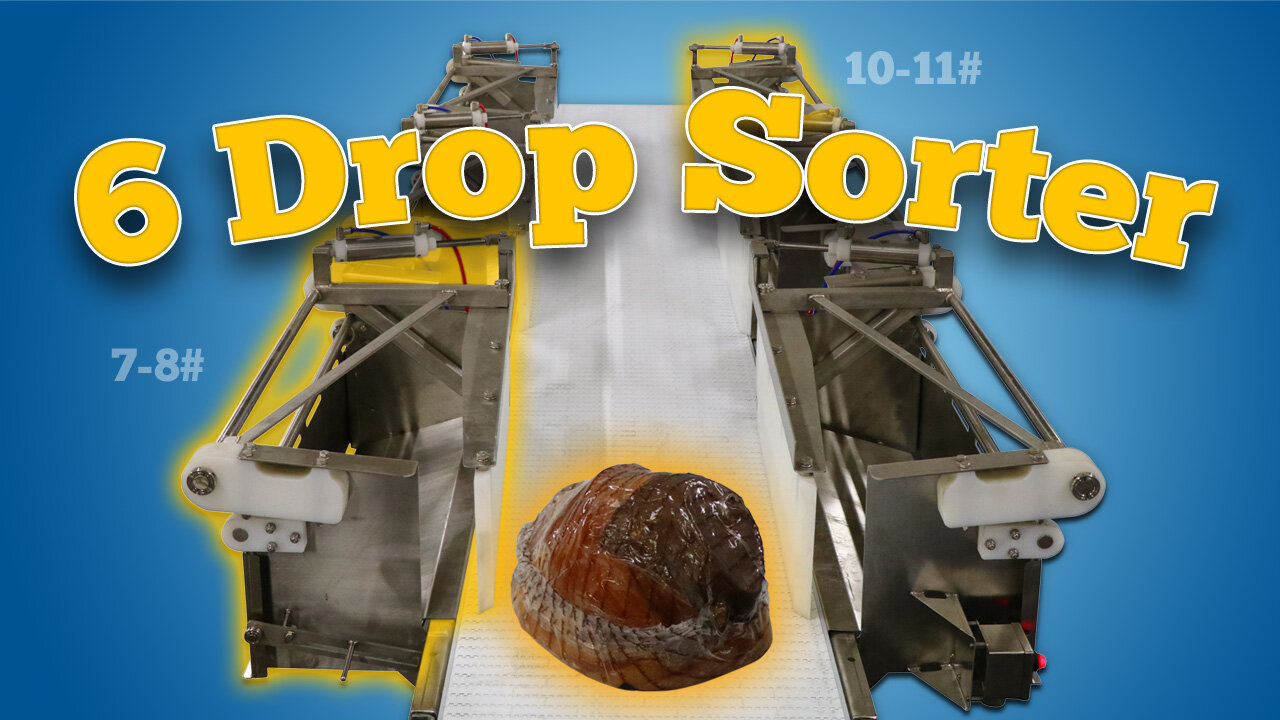 6 Drop Ham Sortation System with Bin-Full Indicator Light