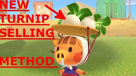 Animal Crossing New Horizons Turnip Market