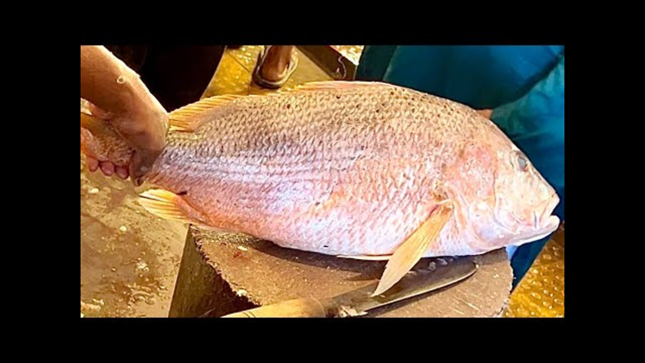 Big Red Snapper Fish Cutting Live In Bangladesh Fish Market | Fish Cutting Skill