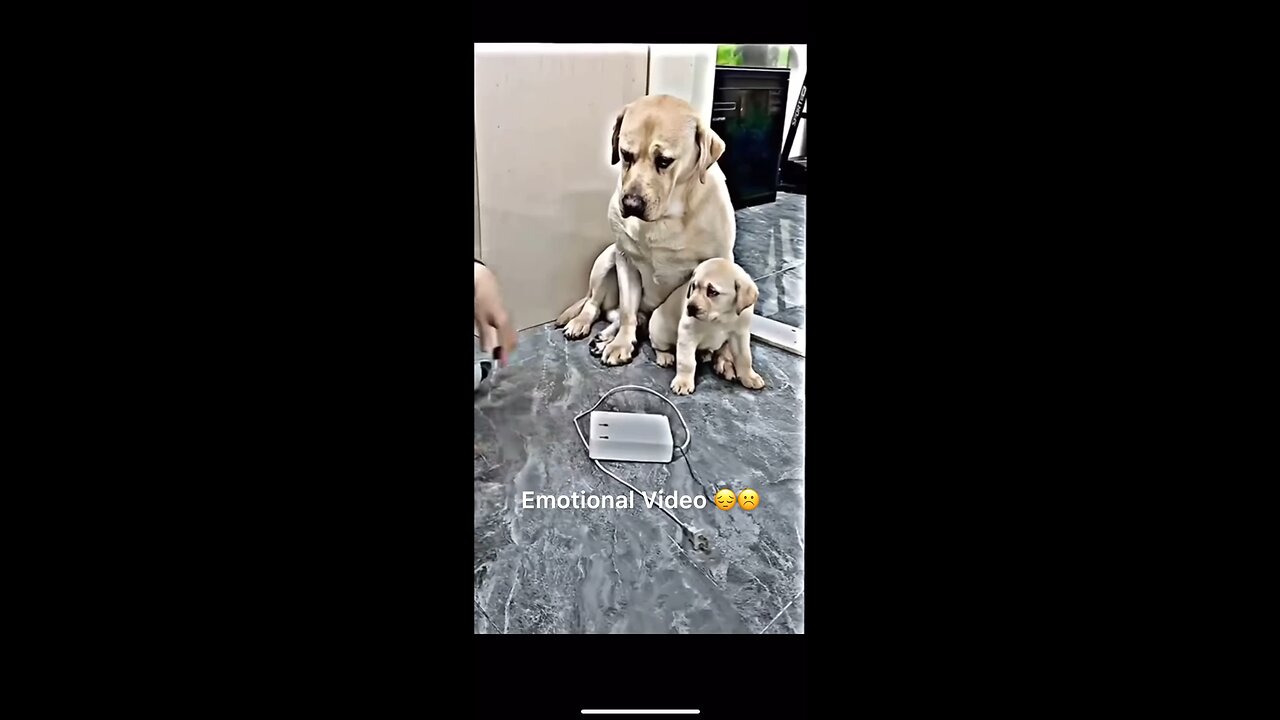 Emotional Video her mother protect his son