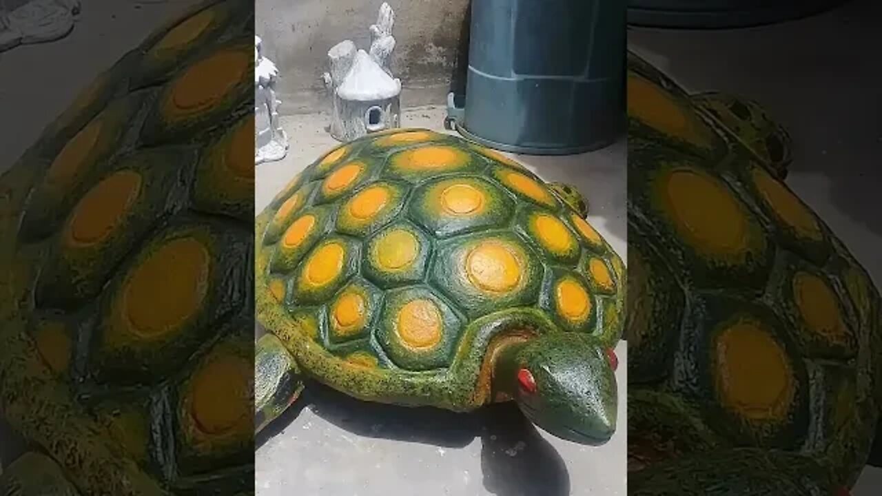 Tartaruga de cimento