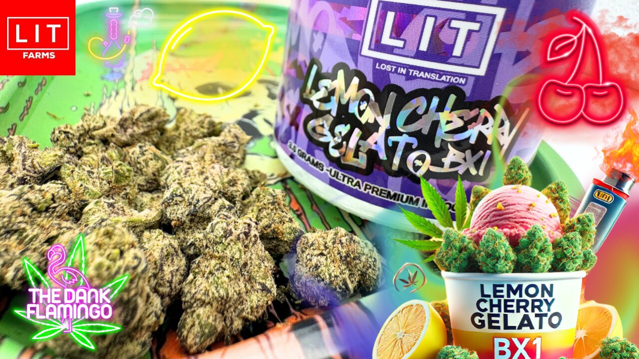 Trying Lemon Cherry Gelato BX1 THCa from Lit Farms! The Dank Flamingo Cannabis Review!!