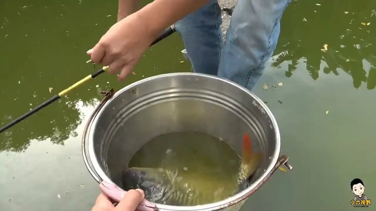 Village head fishing experience to catch, catch the upper pond horn /6