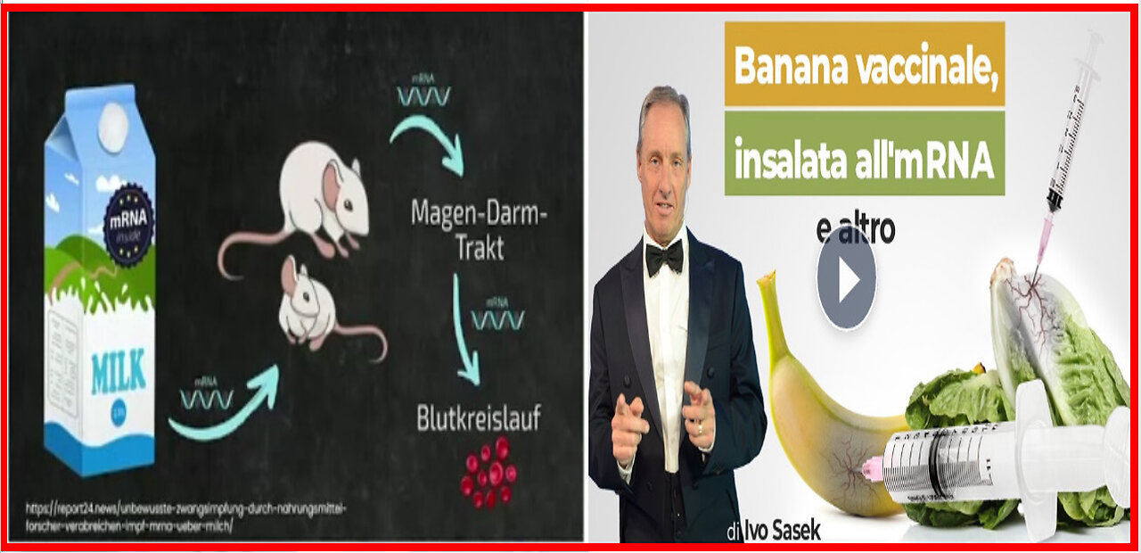 ⚠️👀☣️BANANA VACCINALE💉INSALATA💉LATTE & CARNI ALL'mRNA & ALTRO:💉DI SOPPIATTO DENTRO IL PIATTO?!☣️