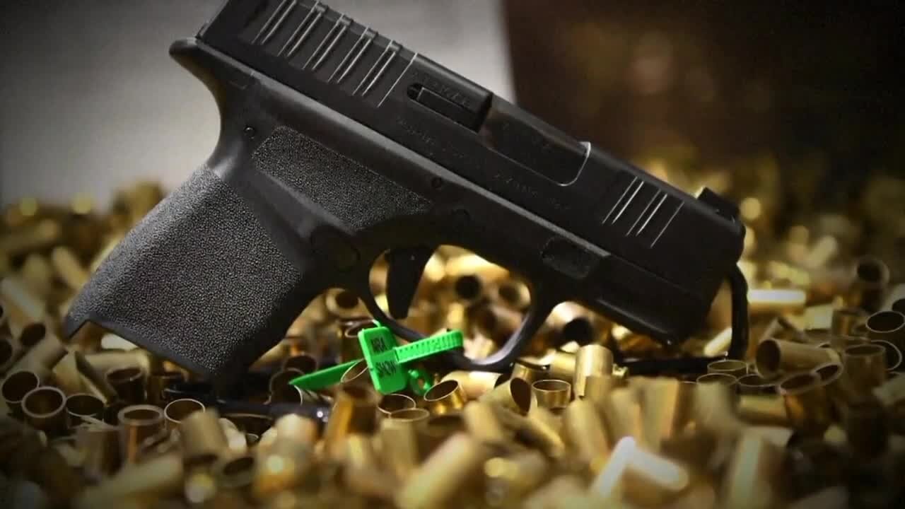 Delays in firearm FBI background checks prompt calls for change