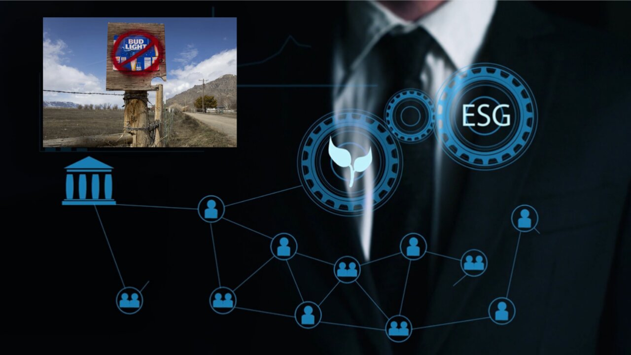 Bud Light Fiasco Shows the Woke ESG Model Is In Danger