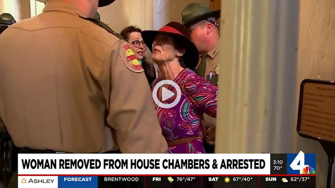 Protester arrested after allegedly shouting during Tennessee House session