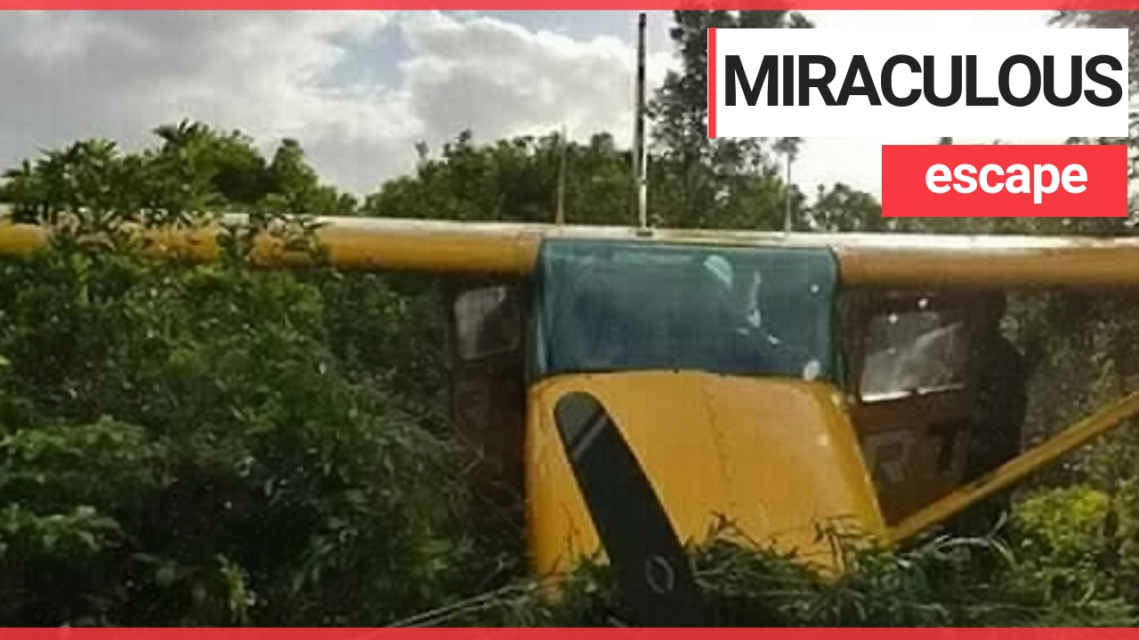 A couple had a miraculous escape after their plane crashed