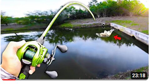 This CANAL has GIANT Bass! (Bank Fishing