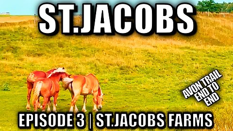 St. Jacobs Episode 3: Walking the Avon Trail End to End - Waterloo to Rural Ontario Hike
