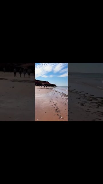 Cool cliffs at Thundercove beach
