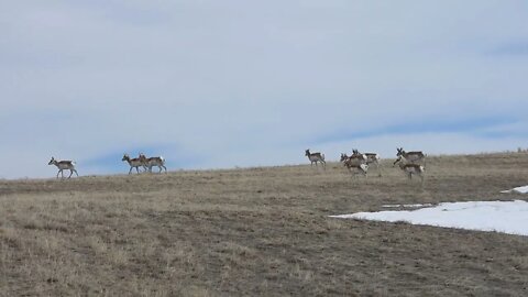Ice Free Wyoming?