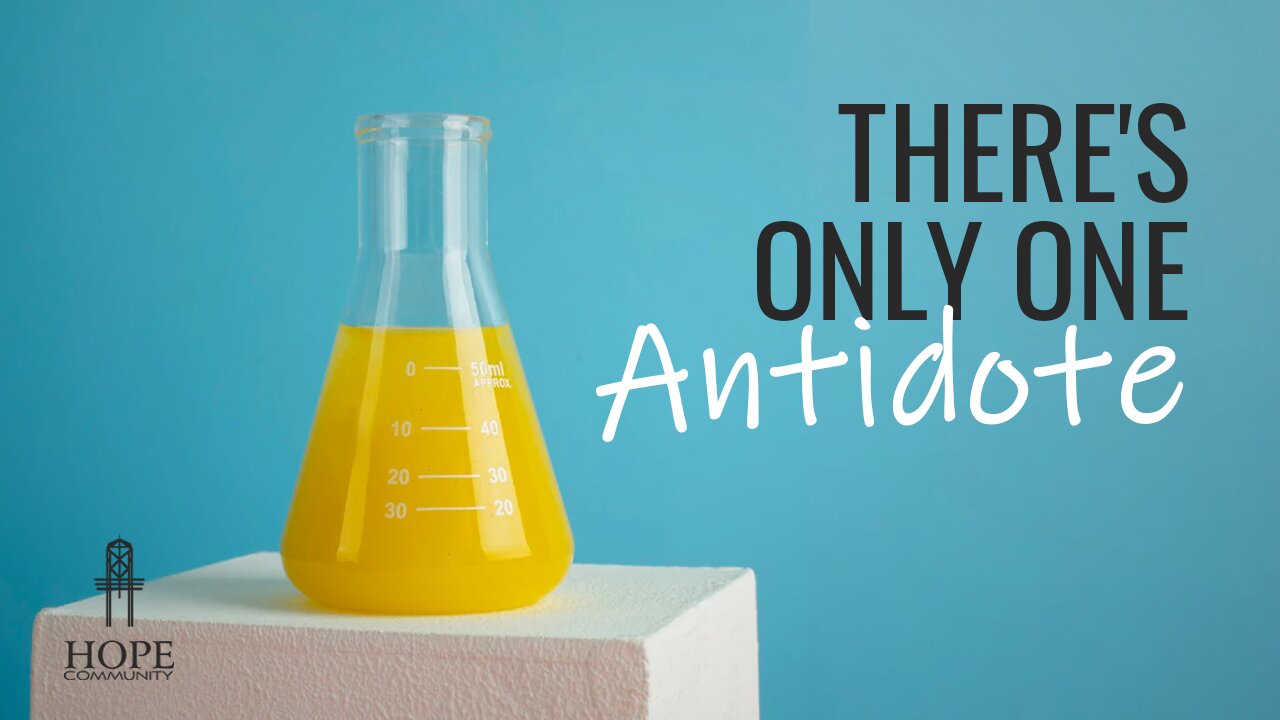 There’s Only One Antidote | Moment of Hope | Pastor Brian Lother