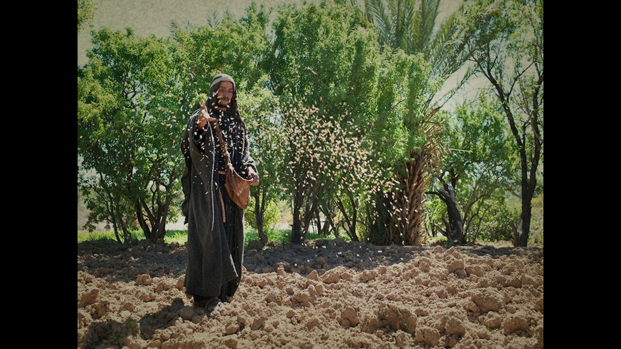 The Seed Sower