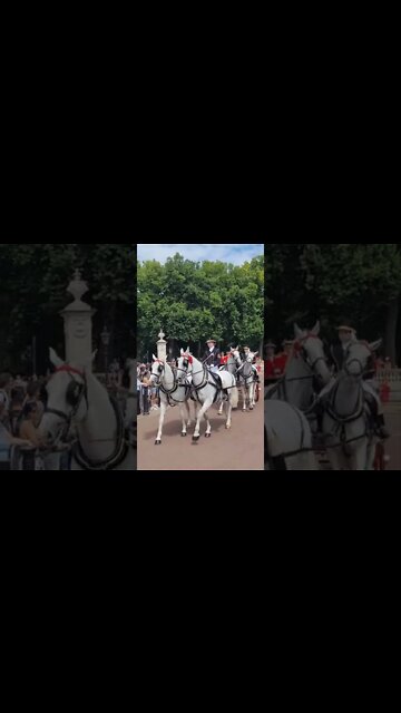 stay were you are until the carriage is inside #buckinghampalace