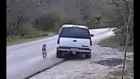 POOR EXCUSE FOR A HUMAN DUMPS DOG ON SIDE OF DANGEROUS ROAD • RECOGNIZE HIM?