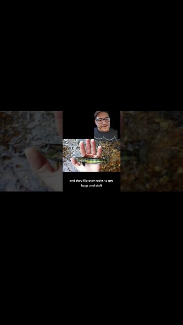 You'll never guess where the Tennessee logperch is found...