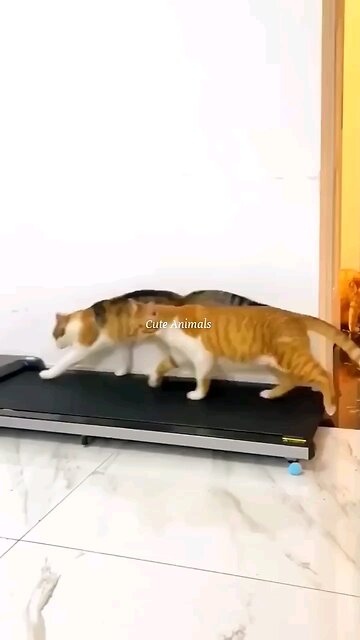 😀😃😄😁😆🤣