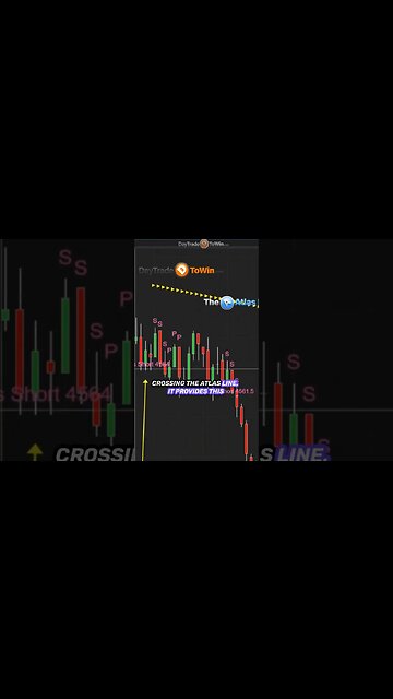 Step into Profits Breakdown