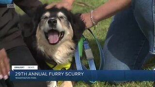 29th Furry Scurry Live Update at 9:54 AM