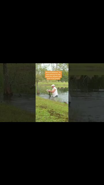 Without even dropping the cigar 🙌💪Saved puppy from Alligator