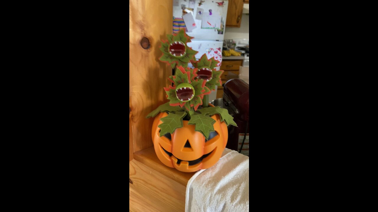 Todays Halloween Countdown Decoration 175 days