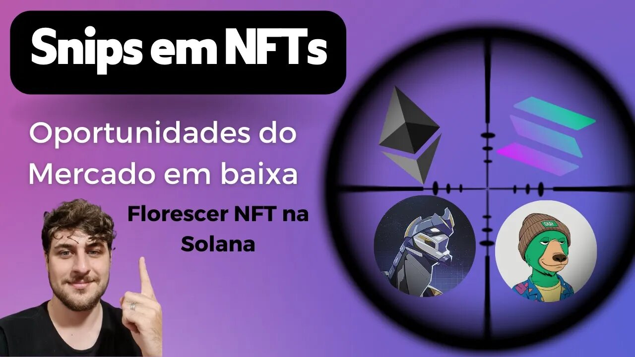 Oportunidades em NFTs para Hold + Florescer da Sonala