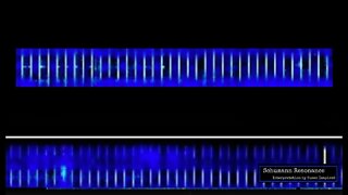 Schumann Resonance QUESTIONS About the 'TECHNOLOGICAL EFFECT'