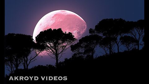 (AKROYD VIDEOS) GENESIS - TONIGHT TONIGHT TONIGHT