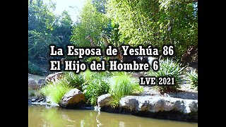 La Esposa de Yeshúa 86 - El Hijo del hombre 6