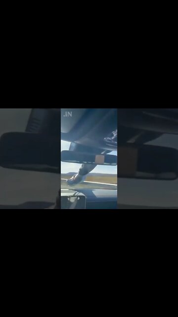 Jumping From Car to Truck For Tangerines 1 🍊 #shorts