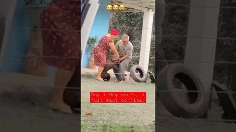 Dr. Paul Chased away by on of his patients 🐕 Hilarious 😂😂😂 #shorts #dog #pet