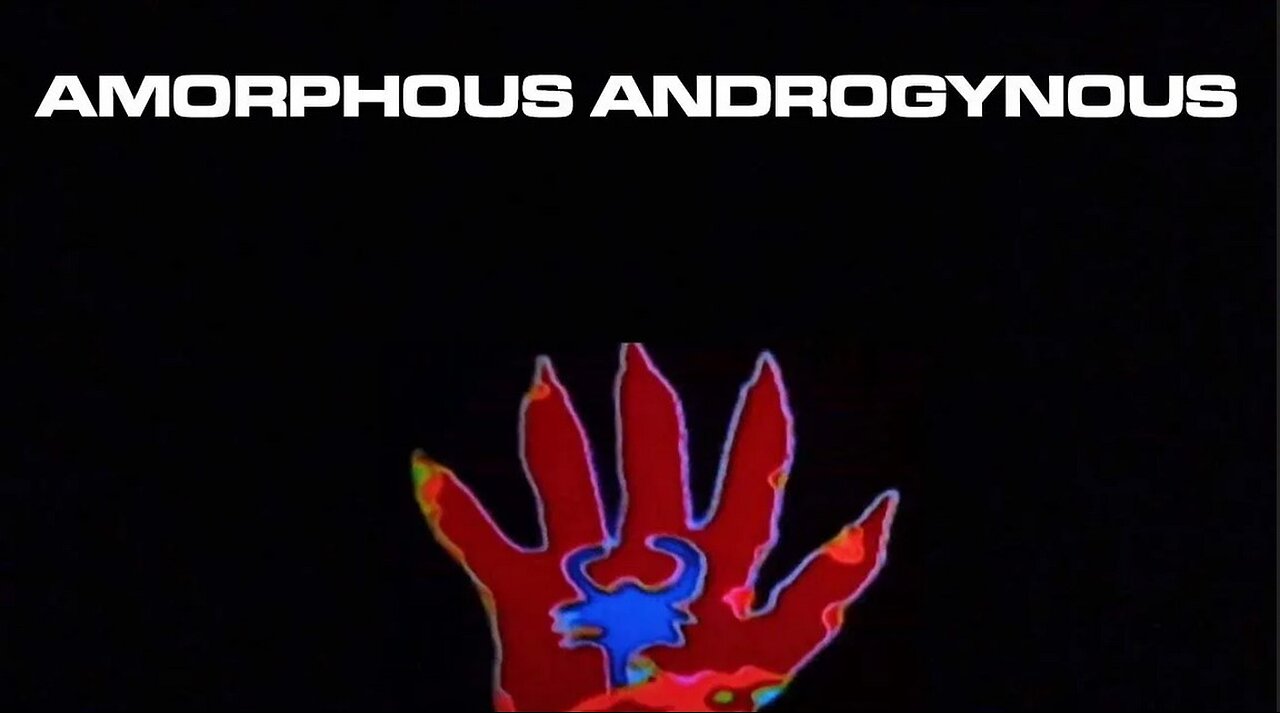 AMORPHOUS ANDROGYNOUS | LIQUID INSECTS