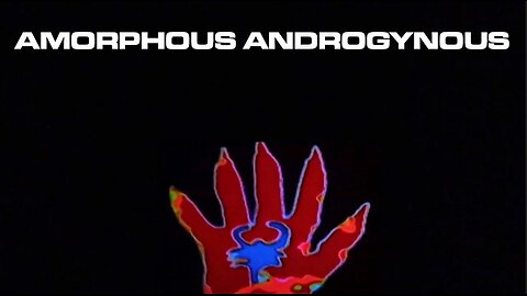 AMORPHOUS ANDROGYNOUS | LIQUID INSECTS